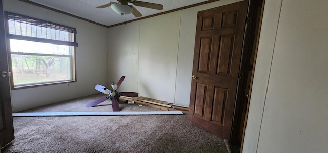 exercise area featuring carpet floors, ceiling fan, ornamental molding, and a textured ceiling