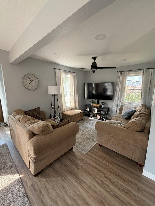 living room with a ceiling fan and wood finished floors