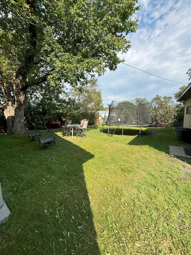 view of yard with a trampoline