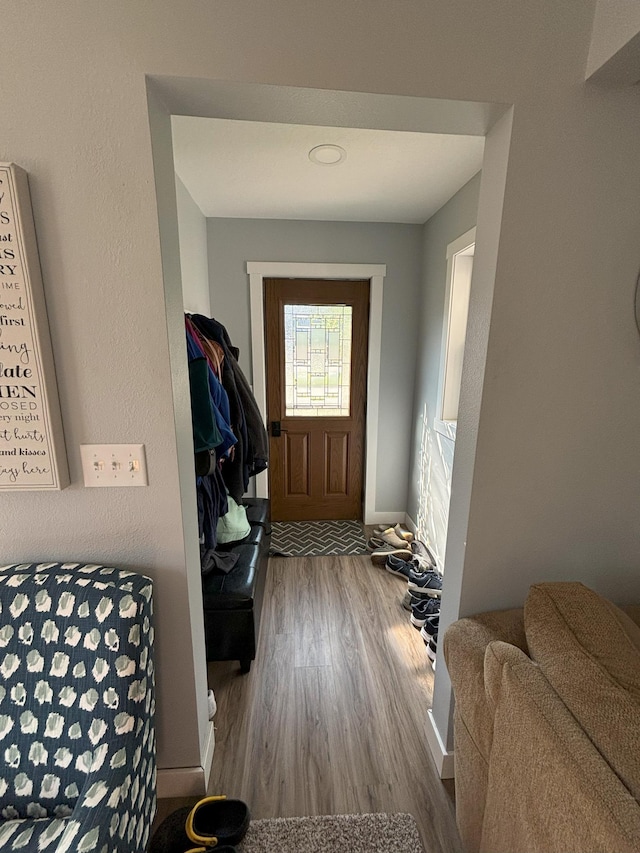 doorway to outside featuring wood-type flooring