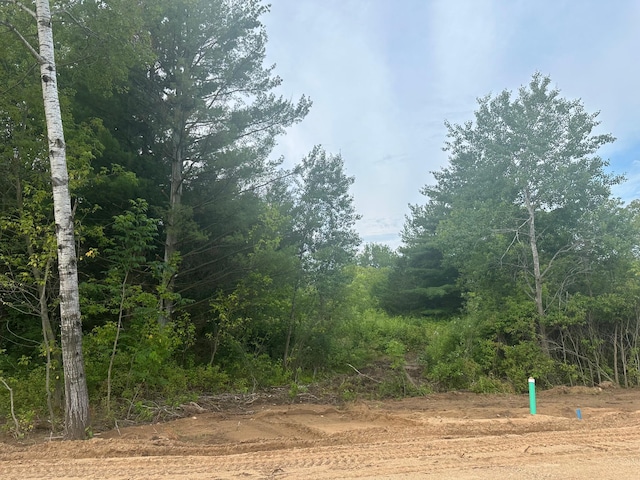 LOT12BLK1 Brummer Dr, Randall MN, 56475 land for sale