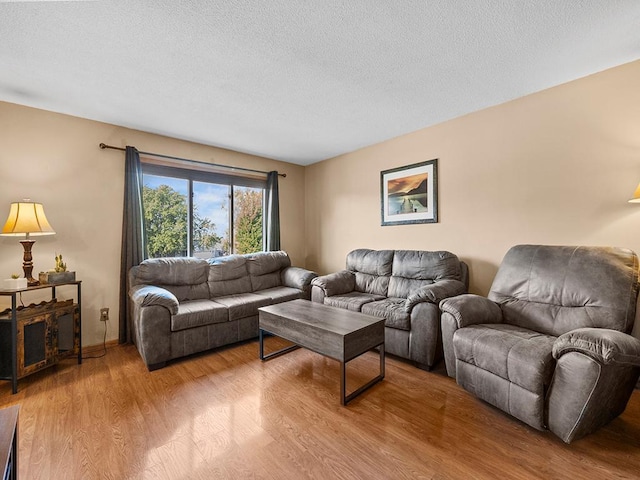 living room with a textured ceiling and light hardwood / wood-style flooring