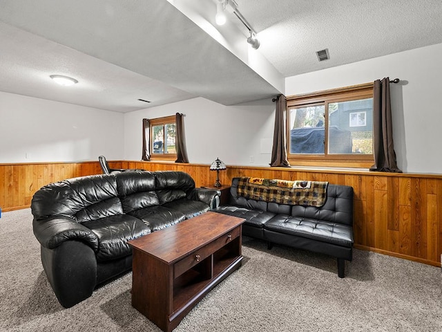 carpeted living room with rail lighting, a textured ceiling, plenty of natural light, and wooden walls