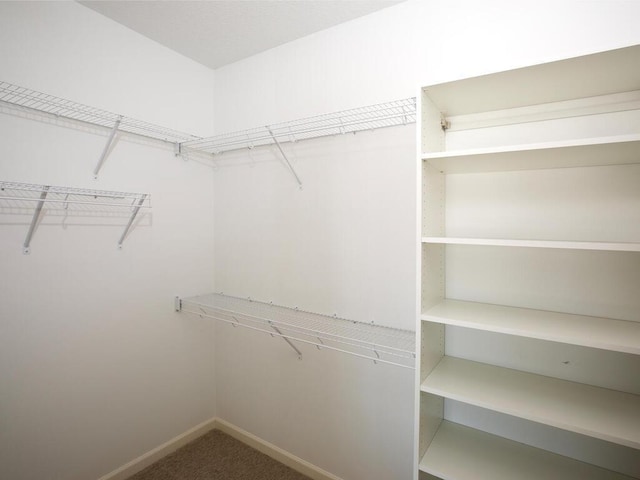 walk in closet with carpet floors