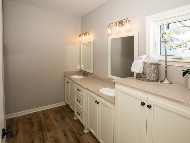 bathroom featuring hardwood / wood-style flooring and vanity