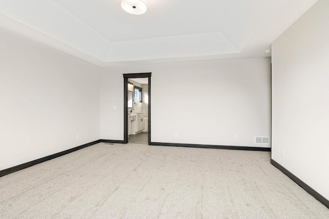 spare room with a raised ceiling and light carpet