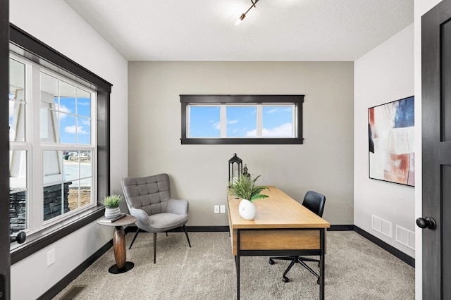 1105 136th St E, Rosemount, MN 55068 - carpeted office featuring healthy amount of natural light and baseboards