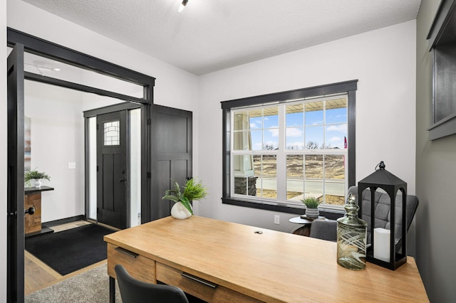1105 136th St E, Rosemount, MN 55068 - office area featuring wood finished floors, baseboards, and a textured ceiling