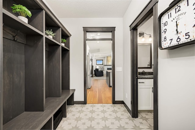 1105 136th St E, Rosemount, MN 55068 - mudroom with light flooring, a sink, and baseboards