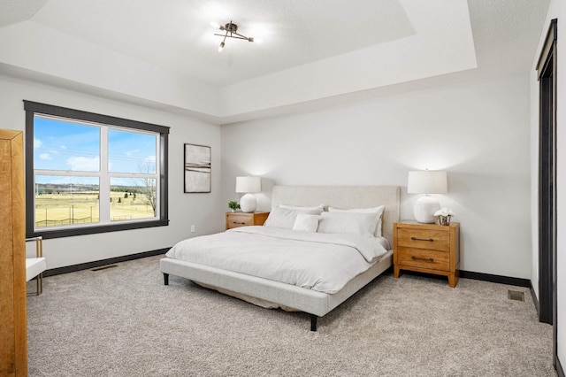 1105 136th St E, Rosemount, MN 55068 - bedroom with carpet, baseboards, and a tray ceiling