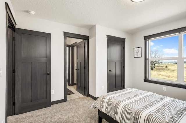 1105 136th St E, Rosemount, MN 55068 - bedroom featuring light carpet, baseboards, and a textured ceiling