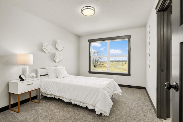 1105 136th St E, Rosemount, MN 55068 - bedroom with carpet, baseboards, and a textured ceiling