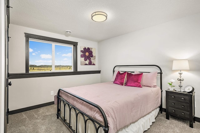 1105 136th St E, Rosemount, MN 55068 - bedroom with light carpet, baseboards, and a textured ceiling