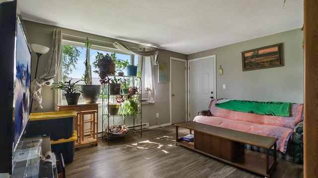 living room featuring a baseboard radiator and dark wood-type flooring