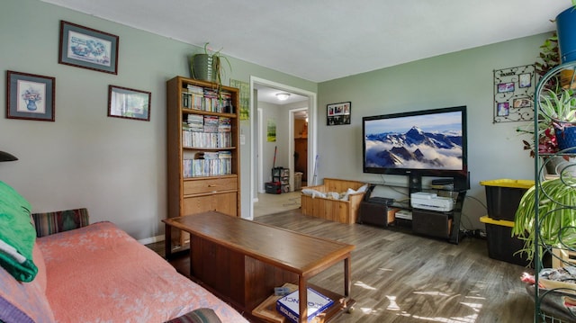 living room with wood-type flooring