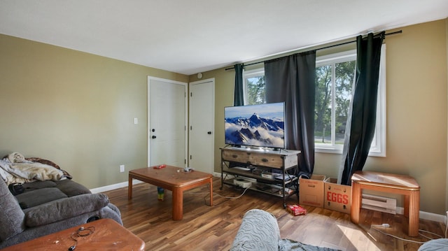 living room featuring hardwood / wood-style floors