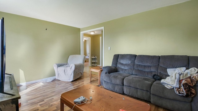 living room featuring hardwood / wood-style flooring