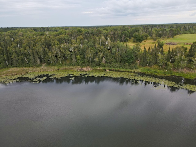 LOTDTBD County Road 51, Bovey, MN 55709 - photo 3