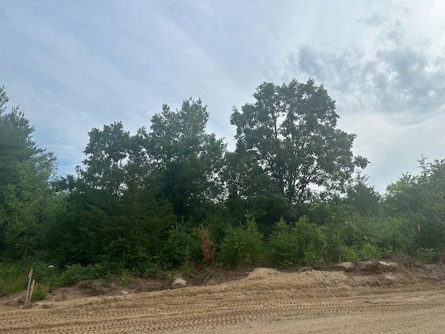 LOT6BLK1 Brummer Dr, Randall MN, 56475 land for sale