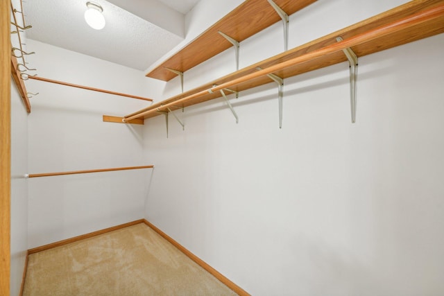 spacious closet featuring light colored carpet