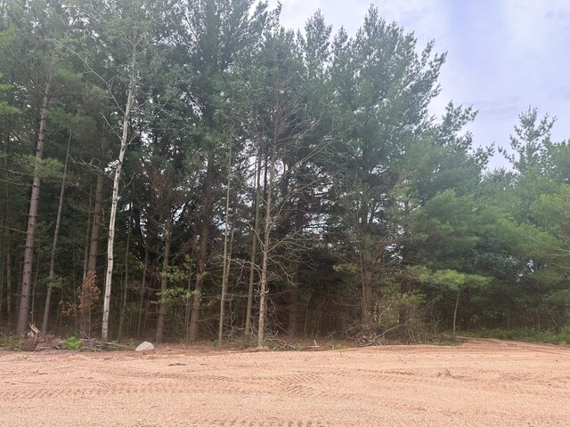 LOT3BLK2 Brummer Dr, Randall, MN 56475