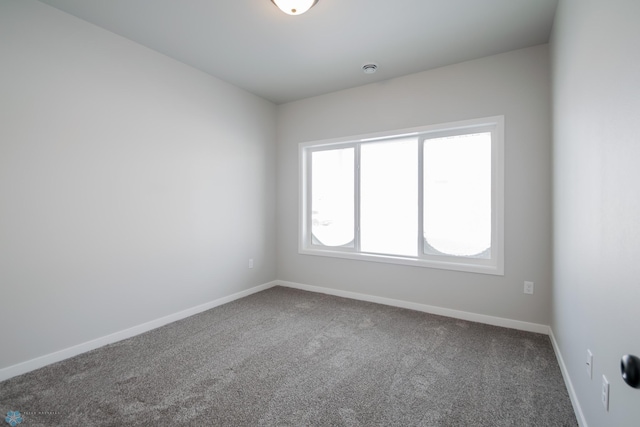 unfurnished room featuring carpet floors