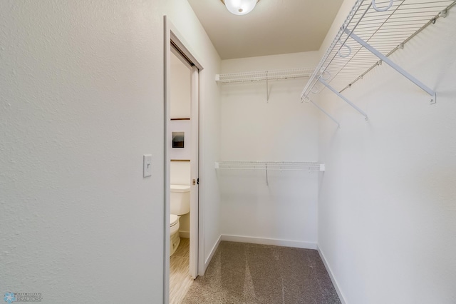 walk in closet featuring carpet