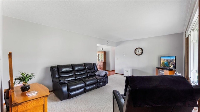 carpeted living area featuring a textured ceiling