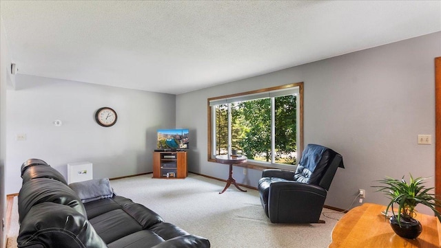 living room with a textured ceiling, baseboards, and carpet flooring