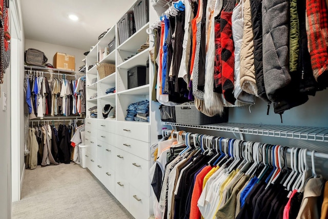 3028 Pinewood Rd SE, Rochester, MN 55904 - walk in closet featuring carpet flooring