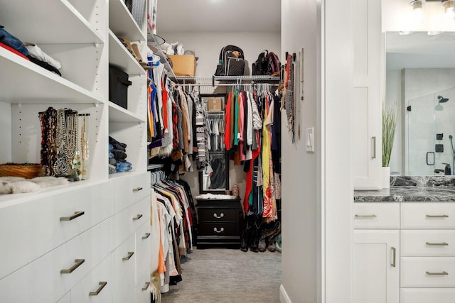 3028 Pinewood Rd SE, Rochester, MN 55904 - spacious closet featuring carpet floors