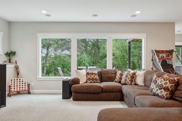 3028 Pinewood Rd SE, Rochester, MN 55904 - carpeted living room featuring baseboards and recessed lighting