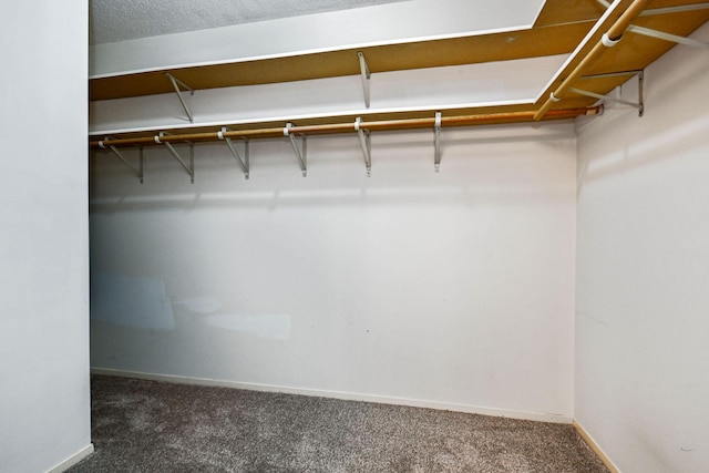 walk in closet featuring dark colored carpet