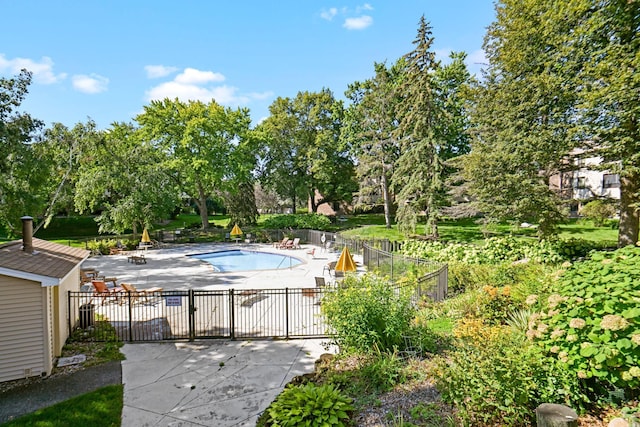 view of swimming pool with a patio area