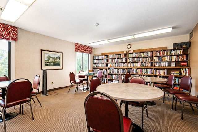 interior space featuring a textured ceiling and carpet flooring