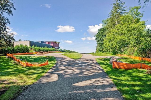 view of community with a lawn