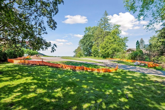 view of home's community with a yard