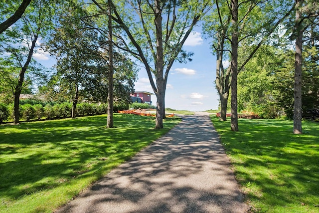 surrounding community featuring a yard