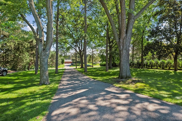 view of community with a lawn