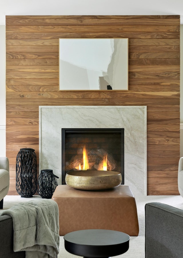 details with a fireplace, carpet floors, and wooden walls