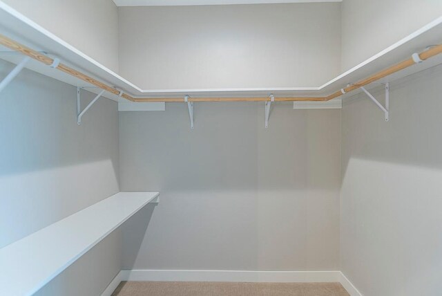 walk in closet with light carpet