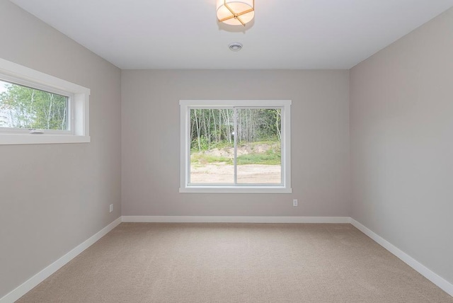 empty room featuring carpet floors