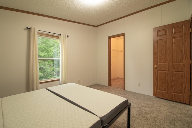 bedroom with carpet, crown molding, a spacious closet, and a textured ceiling