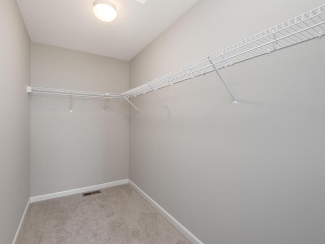 walk in closet featuring light carpet