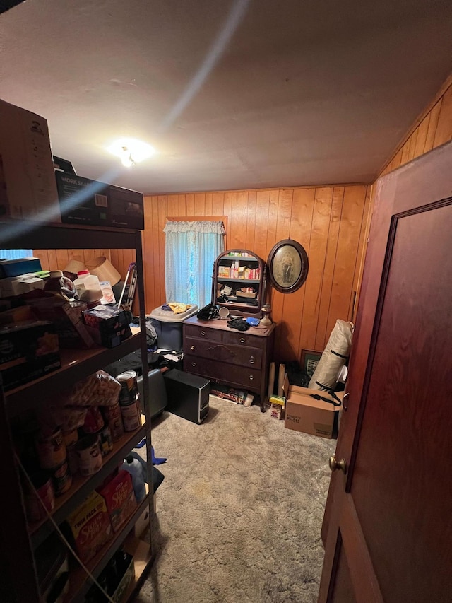 office featuring carpet and wooden walls