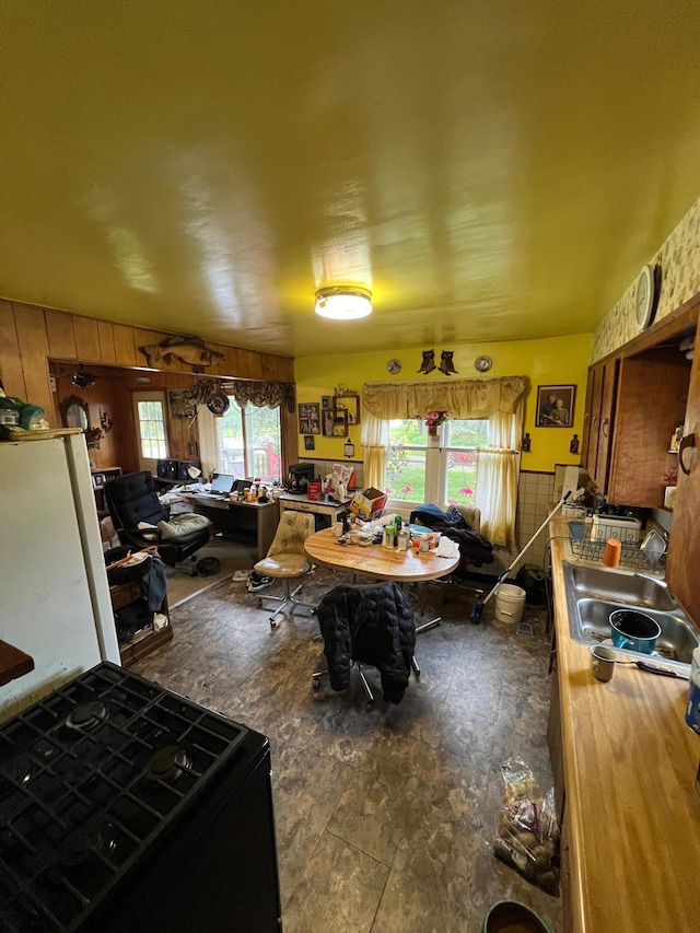 kitchen with plenty of natural light, wood walls, and a sink