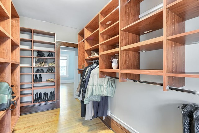 spacious closet featuring light wood-type flooring