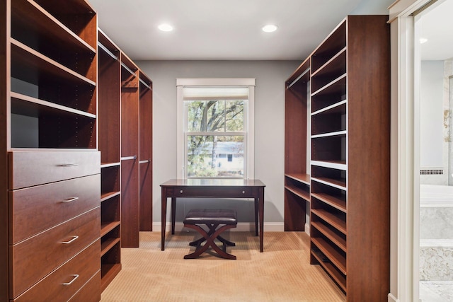 spacious closet with light carpet