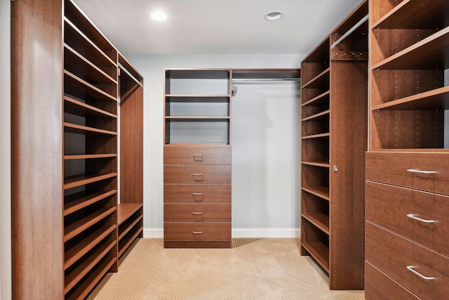 spacious closet with light colored carpet