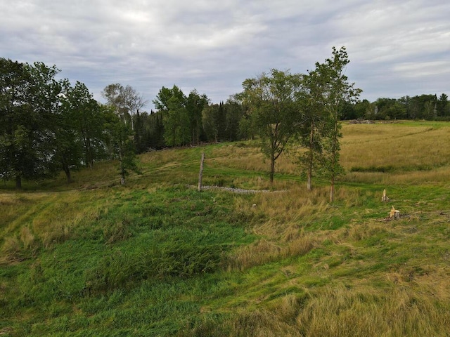 27602 County Road 51, Bovey, MN 55709 - view of local wilderness